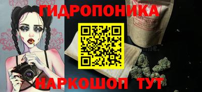 мдпв Бийск