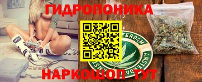 мдпв Бийск