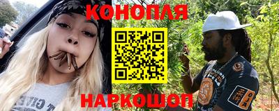 мдпв Бийск