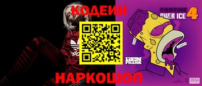 мдпв Бийск