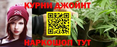 мдпв Бийск